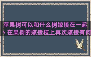 苹果树可以和什么树嫁接在一起 丶在果树的嫁接枝上再次嫁接有何利弊